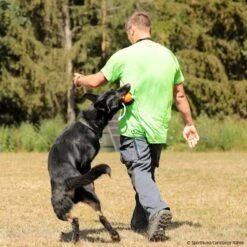 SPORTHUND Active-Shirt Herren Neon -Hunter || Trixie || Pinewood Verkäufe 5700690m071sporthund active shirt 5700692 dsh