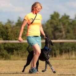 SPORTHUND Active-Shirt Damen Neon -Hunter || Trixie || Pinewood Verkäufe 5700695m071sporthund active shirt 5700696 hound