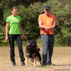 T-Shirt Teampartner -Hunter || Trixie || Pinewood Verkäufe 570070206t shirt doppelpack herren 5700702 dsh3SmUvBcQVQJG0