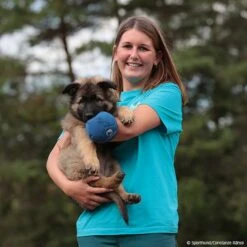 T-Shirt Trainingsweltmeister -Hunter || Trixie || Pinewood Verkäufe 570070307t shirt trainingsweltmeister damen 5700708 welpe