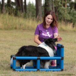 T-Shirt Vollgas Damen -Hunter || Trixie || Pinewood Verkäufe 570070907t shirt teampartner vollgas 5700709 sheltie 1UVpCZNyP4GI0j