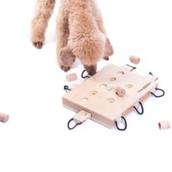 Geschicklichkeitsspiel IPet Smart Laptop -Hunter || Trixie || Pinewood Verkäufe 701363607ipet smart dog laptop anwendung2 7013636