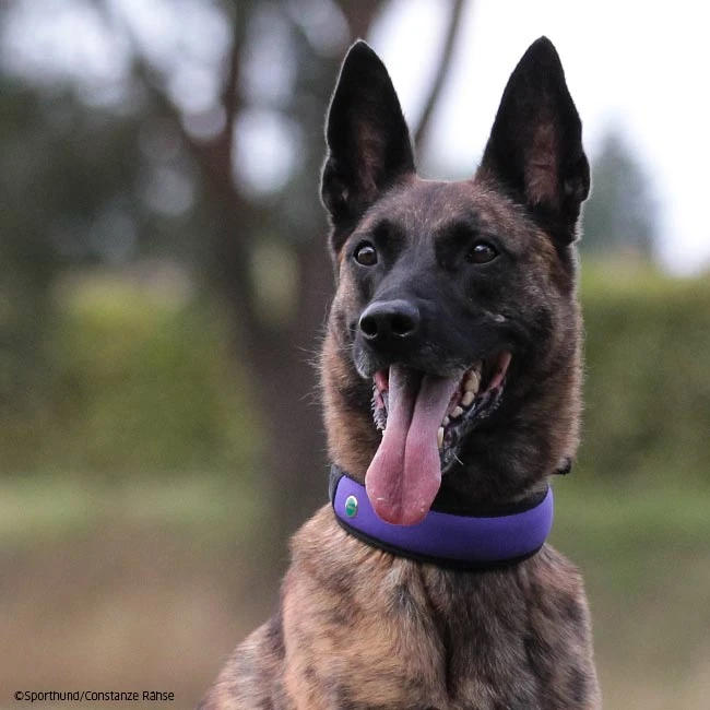 Niggeloh Halsung FASHION 4 Niggeloh Halsung FASHION – Bild 2