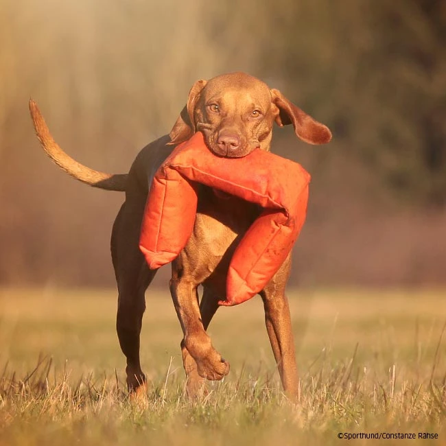 Mystique 3-teiliger Dummy Orange 4 Mystique 3-teiliger Dummy Orange – Bild 2