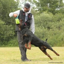 MOPIK HULA -Hunter || Trixie || Pinewood Verkäufe 7021326071mopik hula blau gruen p4dc6235 7021326PooQwwpWHZlBB