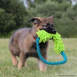 MOPIK HULA -Hunter || Trixie || Pinewood Verkäufe 7021326074mopik hula blau gruen crt 7369 7021326