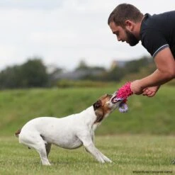 MOPIK HULA -Hunter || Trixie || Pinewood Verkäufe 702132607mopik hula lila pink p4dc3013 7021326SyEtfpj2FGMYV