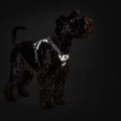 Hunter Hundegeschirr Divo Reflect -Hunter || Trixie || Pinewood Verkäufe 7021931m06hunter geschirr divo reflect anwendung1 7021932