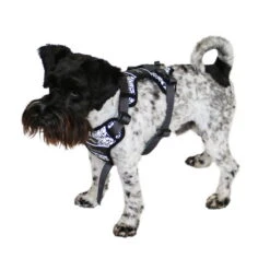 Hunter Hundegeschirr Divo Reflect -Hunter || Trixie || Pinewood Verkäufe 7021931m072hunter geschirr divo reflect anwendung zwergschnauzer 7021932