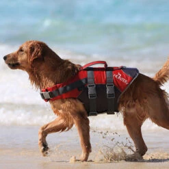 Hunter Schwimmweste Moss -Hunter || Trixie || Pinewood Verkäufe 7022090m07hunter schwimmweste moss meer