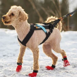 Non-Stop Dogwear Freemotion Harness Zuggeschirr -Hunter || Trixie || Pinewood Verkäufe 7022101074freemotion harness anwendung 7022101