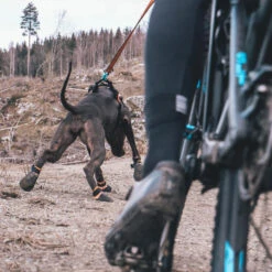 Non-Stop Protector Bootie -Hunter || Trixie || Pinewood Verkäufe 702212307non stop protector bootie anwendung2 7022123