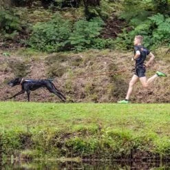 Non-Stop Dogwear Bungee Leash 2m 8 Non-Stop Dogwear Bungee Leash 2m -Hunter || Trixie || Pinewood Verkäufe 702212507non stop dogware bungee leash anwendung 7022125