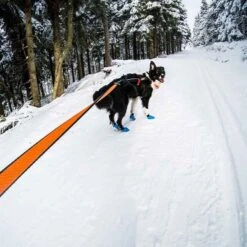 Non-Stop Dogwear Bungee Leash 2,8m -Hunter || Trixie || Pinewood Verkäufe 7022126071non stop dogware bungee leash anwendung2 7022125