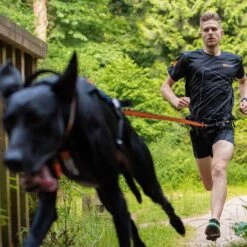 Non-Stop Dogwear Bungee Leash 2,8m -Hunter || Trixie || Pinewood Verkäufe 702212607non stop dogware bungee leash anwendung3 7022125