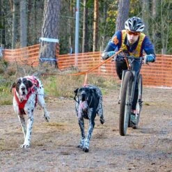 Non-Stop Dogwear Bungee Leash Double -Hunter || Trixie || Pinewood Verkäufe 7022127071bungee leash pro double anwendung2 7022127