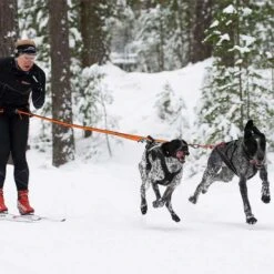 Non-Stop Dogwear Bungee Leash Double -Hunter || Trixie || Pinewood Verkäufe 702212707bungee leash pro double anwendung 7022127