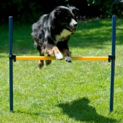 Agility Einsteigerset Hürden, Slalom, Box -Hunter || Trixie || Pinewood Verkäufe 7030366071agility huerden und slalomset huerde 70303661HNfOi42XjrCr
