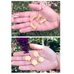 Cahuna Silikon Backmatte 13 Cahuna Silikon Backmatte -Hunter || Trixie || Pinewood Verkäufe 7030396073cahuna silikon backmatte anwendung4 7030396