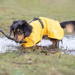 Rukka Pets Hayton Eco Raincoat -Hunter || Trixie || Pinewood Verkäufe 7226410m07rukka pets hayton eco raincoat anwendung2 7226410m