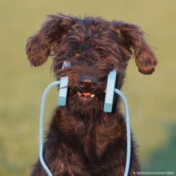 Obedience Holz-Apportel Mit Seil -Hunter || Trixie || Pinewood Verkäufe 7261540m071obedience holz apportel mit seil 7261601 schnauzer