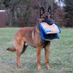 Sporthund Technikkissen Midas -Hunter || Trixie || Pinewood Verkäufe 726208507sporthund technik kissen midas 7262085 malinoisLQAagw8ghElY3