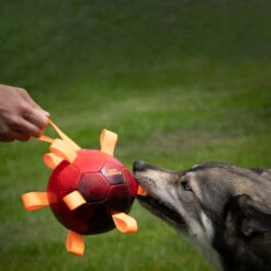 Dog Comets Hypernova -Hunter || Trixie || Pinewood Verkäufe 7265140m06dog comets hypernova anwendung 7265140m