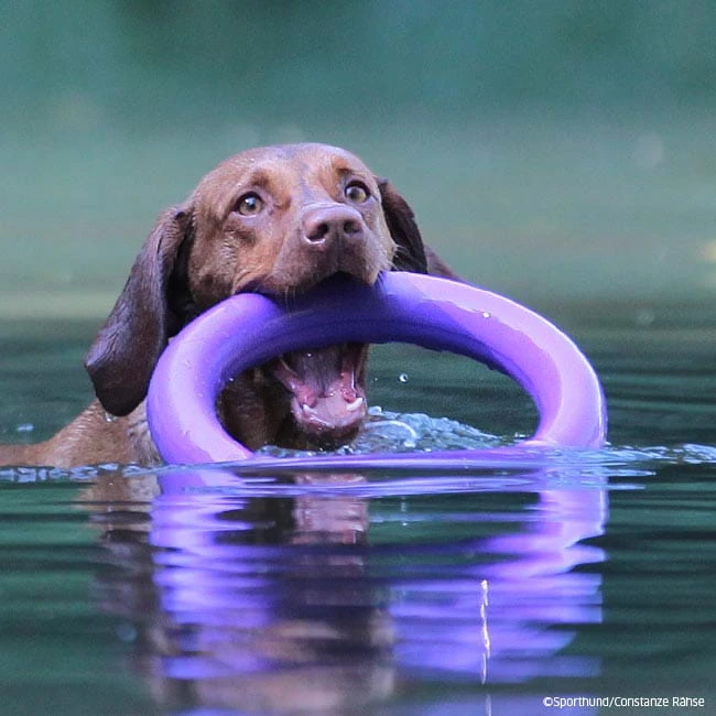 PULLER-Ringe 8 PULLER-Ringe – Bild 6