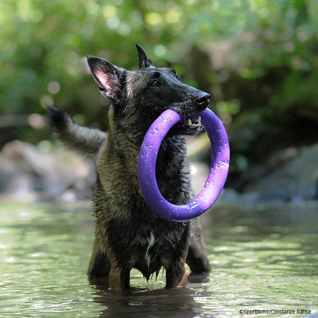 PULLER-Ringe 7 PULLER-Ringe – Bild 5