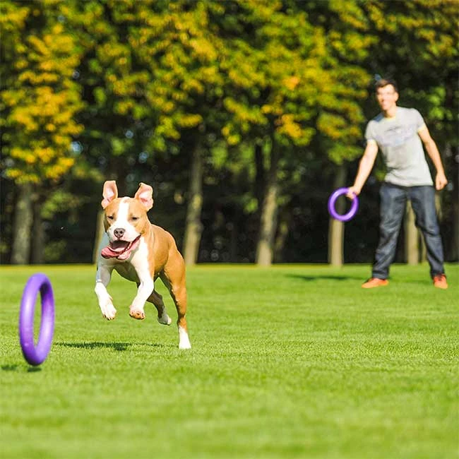 PULLER-Ringe 4 PULLER-Ringe – Bild 2