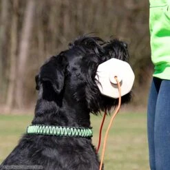 Sporthund IGP-Apportierholz 650g Havatar -Hunter || Trixie || Pinewood Verkäufe 7281406071knutfuchs havatar 7281406 schnauzeruYs0WsOvYbDKM