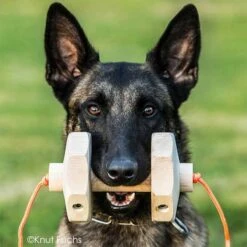 Sporthund IGP-Apportierholz 650g Havatar -Hunter || Trixie || Pinewood Verkäufe 7281406072knutfuchs havatar 7281406 malinoisD3NaG0zYmg89A