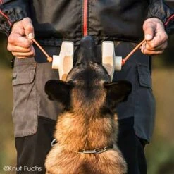 Sporthund IGP-Apportierholz 650g Havatar -Hunter || Trixie || Pinewood Verkäufe 728140607knutfuchs havatar 7281406 malinois2wLuItwAUwzwYT