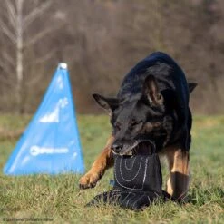 Sporthund Triple Star Kissen -Hunter || Trixie || Pinewood Verkäufe 7334208071sporthund triplestarkissen 7334208 dshUN5K3a3eMNTtD