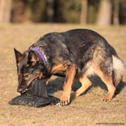 Sporthund Triple Star Kissen -Hunter || Trixie || Pinewood Verkäufe 733420807sporthund triplestarkissen 7334208 dhs16zlEzzWqC3Atb