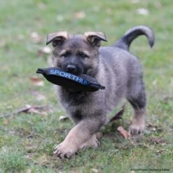 Mini Bestätigungskissen -Hunter || Trixie || Pinewood Verkäufe 733420906sporthund mini bestaetigungskissen p4dc0712 73342093pgvV52ZqcSAl