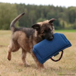 Sporthund Welpen Hohlbeißkissen -Hunter || Trixie || Pinewood Verkäufe 733421707welpenkissen 7334217 dshTZbxLWm5548Xs