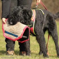 3-Griff-Kissen Plus -Hunter || Trixie || Pinewood Verkäufe 7334222071sporthund 3griffkissen p4dc5742 7334222