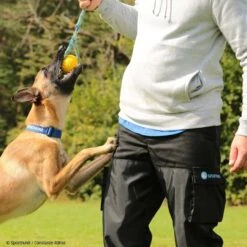 Hundeführerhose Schwarz -Hunter || Trixie || Pinewood Verkäufe 7335222071sporthund hundefuhrerhose schwarz 7335222 hf1