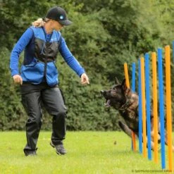 Sporthund Netzweste Fashion -Hunter || Trixie || Pinewood Verkäufe 7335254071sporthund netzweste fashion 7335254 dsh