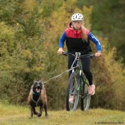 Hundeführerweste Fashion 2.0 Hooded 10 Hundeführerweste Fashion 2.0 Hooded -Hunter || Trixie || Pinewood Verkäufe 7335701071sporthund hundefuhrerweste fashion2 0 hooded 7335703 malinois