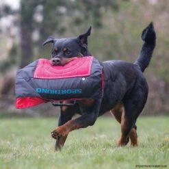 Sporthund Übergangskissen Nylcot 7 Sporthund Übergangskissen Nylcot -Hunter || Trixie || Pinewood Verkäufe 735423007sporthund ubergangskissen nylcot 7354230 rottweiler