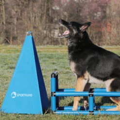 Sporthund Q-Box 11 Sporthund Q-Box -Hunter || Trixie || Pinewood Verkäufe 73572100717357210 sporthund q box verbellen neu0eSfm3tz3jMtF