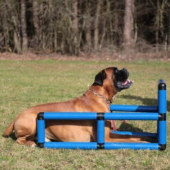 Sporthund Q-Box 13 Sporthund Q-Box -Hunter || Trixie || Pinewood Verkäufe 73572100737357210 sporthund q box platz neu05AtVEl4JKtrI