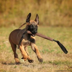 Sporthund Lederbeißwurst Flach 4 X 26 Cm 2G -Hunter || Trixie || Pinewood Verkäufe 742410207beisswurst leder flach 4 x 26cm 2g 7424102 malinois24syge93B4T2m