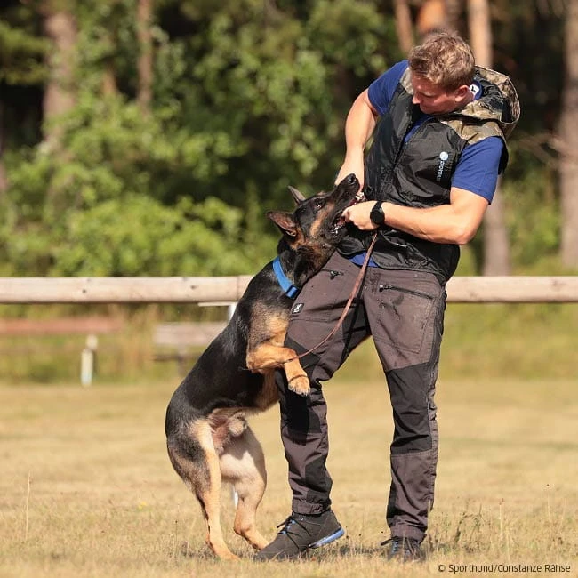 Beißwurst-Peitsche 6 Beißwurst-Peitsche – Bild 4
