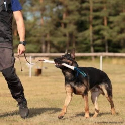 Beißwurst-Peitsche 8 Beißwurst-Peitsche -Hunter || Trixie || Pinewood Verkäufe 742410507sporthund beisswurst peitsche 7424105 dsh 1