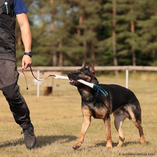 Beißwurst-Peitsche 5 Beißwurst-Peitsche – Bild 3