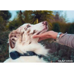 Canicom Voice 200 9 Canicom Voice 200 -Hunter || Trixie || Pinewood Verkäufe canicom voice anwendungsbild 7019915kNd6NKP0jRhY7