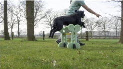 Hunter || Trixie || Pinewood Verkäufe -Hunter || Trixie || Pinewood Verkäufe dogagilitysetsprung 7030354626QWrQvvJCEV